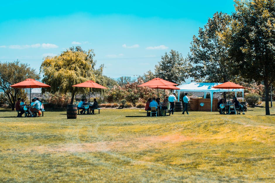 pexels-photo-1179075-1179075 People enjoying a sunny day picnic under vibrant umbrellas in a park setting.